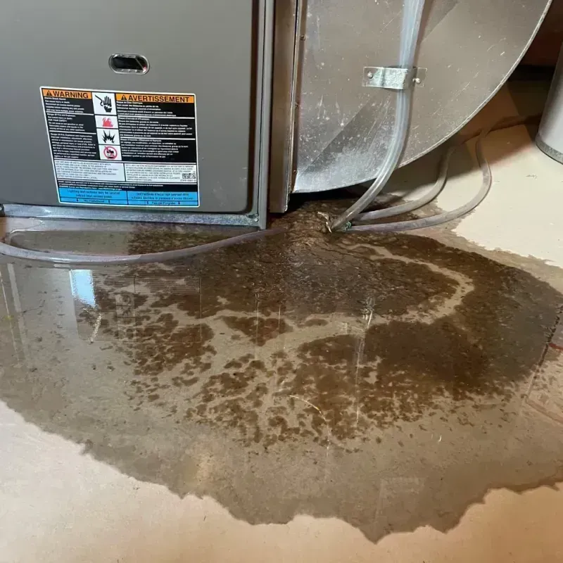 Appliance Leak Cleanup in Harrison, TN